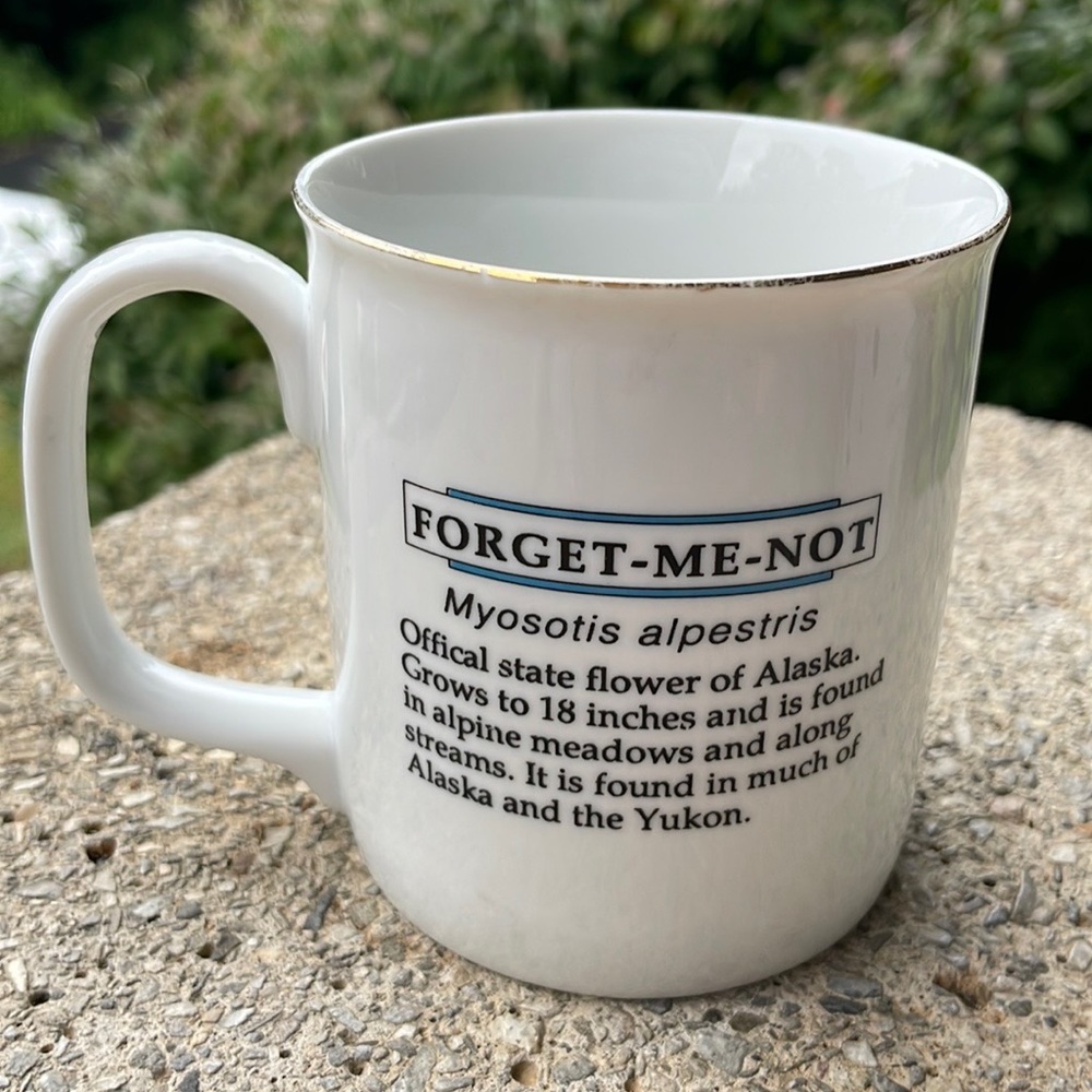 Vintage Alaska Forget Me Not Flower Tourist Mug - Picture 2 of 2